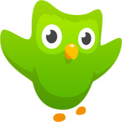 Логотип программы Duolingo