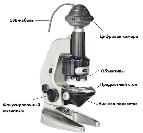 цифровой микроскоп как устроен